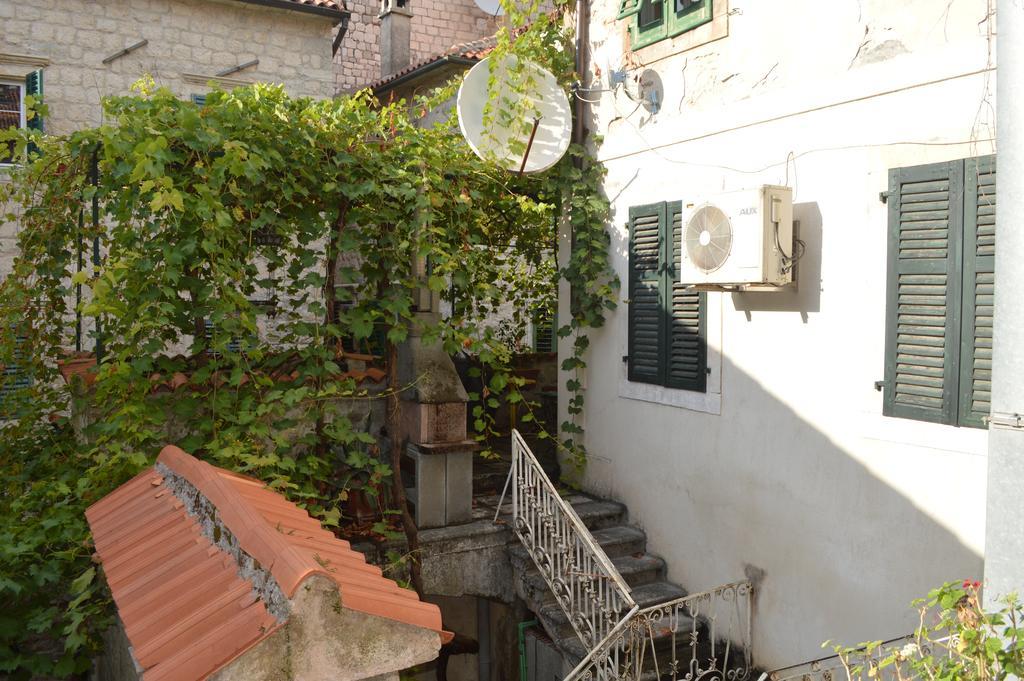 Apartments Leo Kotor Rum bild